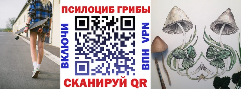 Галлюциногенные грибы ЛСД  Медвежьегорск 